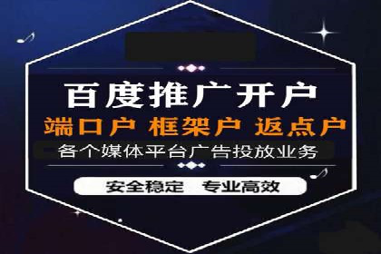 网络推广策略：竞价广告的实践案例